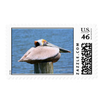 The Boss Pelican postage by KayWMiller The Boss Pelican postage
