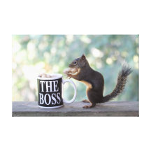 The Boss Squirrel Canvas Prints