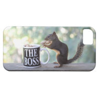 The Boss Squirrel iPhone 5 Covers
