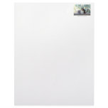 "The Boss" Squirrel Custom Letterhead