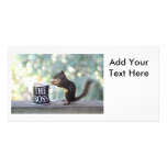 "The Boss" Squirrel Photo Greeting Card