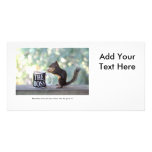 "The Boss" Squirrel Picture Card