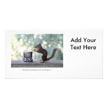"The Boss" Squirrel Picture Card
