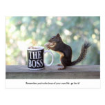 "The Boss" Squirrel Post Cards