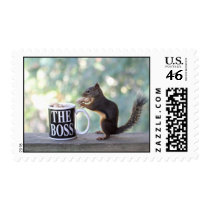 "The Boss" Squirrel Postage Stamp