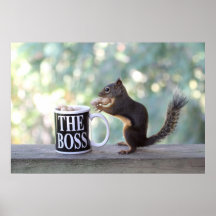"The Boss" Squirrel Posters
