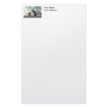 "The Boss" Squirrel Custom Stationery