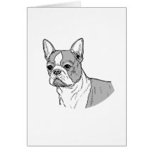 THE BOSTON TERRIER CARDS