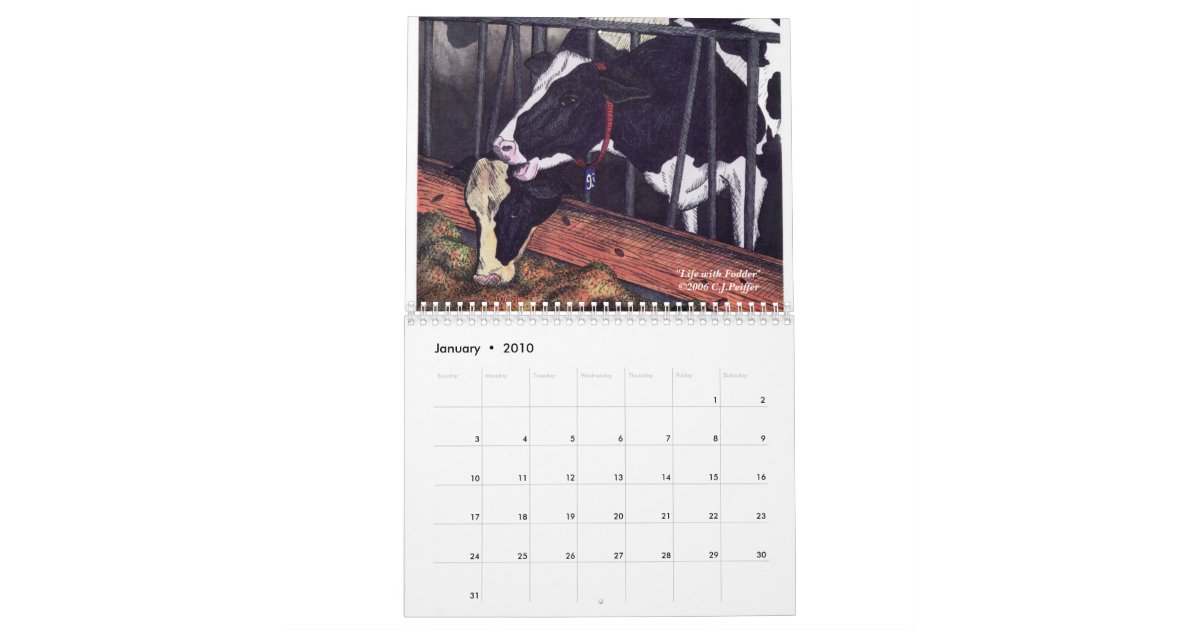 'The Bovine Comedy' Calendar Zazzle