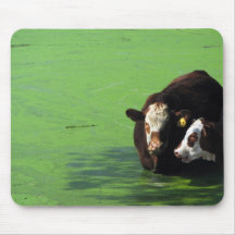 The Bovine Spa Mouse Mats