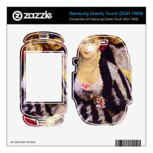 The Box by Pierre Renoir Samsung Gravity Touch Skins