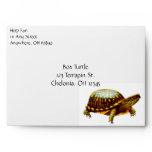 The Box Turtle Envelope