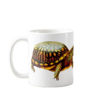 The Box Turtle Mug by twopurringcats The Box Turtle Mug