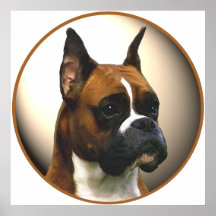 The Boxer Dog Posters
