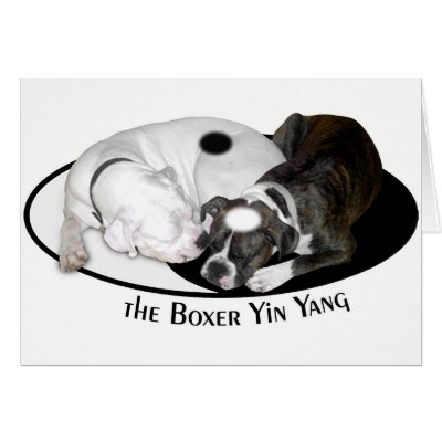The Boxer Yin Yang Card by boondog
