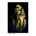 The Boy King posters by Okhons The Boy King posters