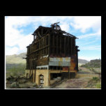 The Boy Without A Saddle (click here) postcards