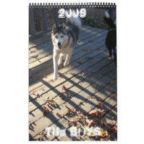 The Boys calendars