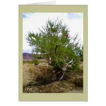 The Bra Bush Note Card by Rebecca_Reeder The Bra Bush Note Card