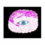 The Brain Knows!