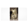 THE BRASS CAT BAR PHOTO GREETING CARD