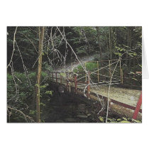 the bridge cards