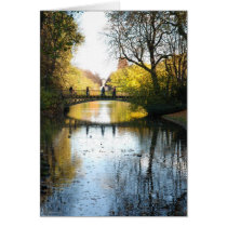 The Bridge cards