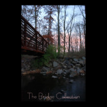 The Bridge Collection posters