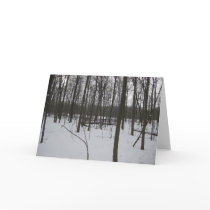 The Bridge in Snow Cards