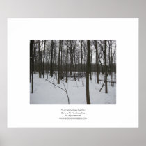 The Bridge in Snow Poster
