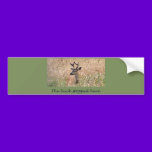 The Buck Stopped Here (2) bumper stickers