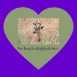 The Buck Stopped Here (2) stickers