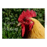The Buff Roo-customize any occasion.. Cards