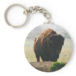 The Buffalo Collection II Key Chain