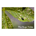 The Bugs Holes posters by Roschetzky The Bugs Holes posters