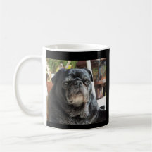 The Bumblesnot "Most Interesting Dog" coffee mug