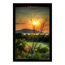 The Burning Tree posters by gmp1993 The Burning Tree posters