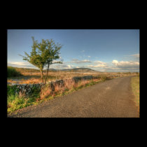 The Burren National Park posters