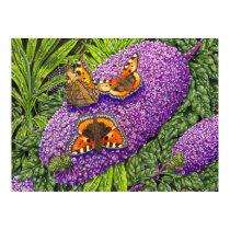 The Butterfly Bush posters