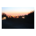 The Butterfly Effect posters by sarmynpetrelli The Butterfly Effect posters