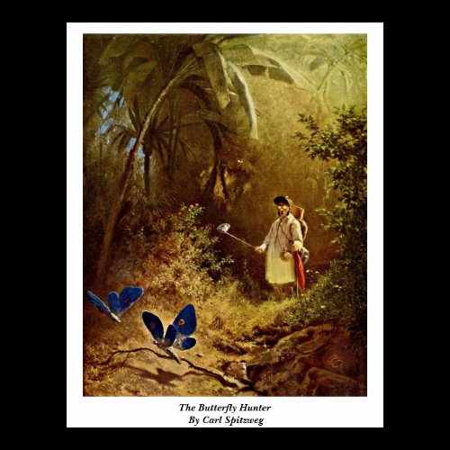 The Butterfly Hunter By Carl Spitzweg Posters