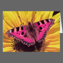 The Butterfly is a Flying Flower cards
