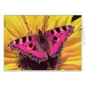The Butterfly is a Flying Flower cards