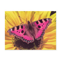 The Butterfly is a Flying Flower postcards by beverlytazangel The Butterfly is a Flying Flower postcards