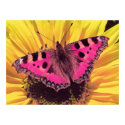The Butterfly is a Flying Flower posters