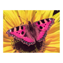 The Butterfly is a Flying Flower posters by beverlytazangel The Butterfly is a Flying Flower posters