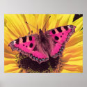 The Butterfly is a Flying Flower posters