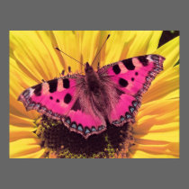 The Butterfly is a Flying Flower posters