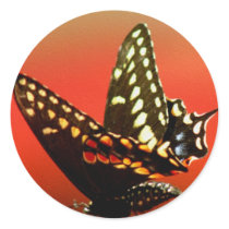 The Butterfly stickers