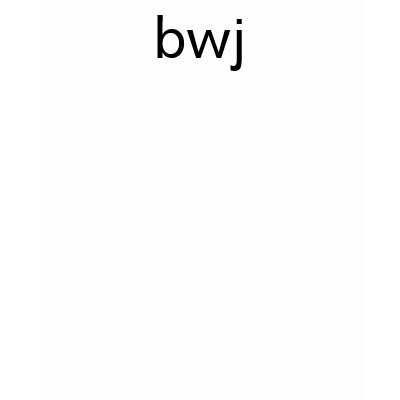 The BWJ tank - An Official Rebecca Walker product Tanktop by shop_rebeccawalker